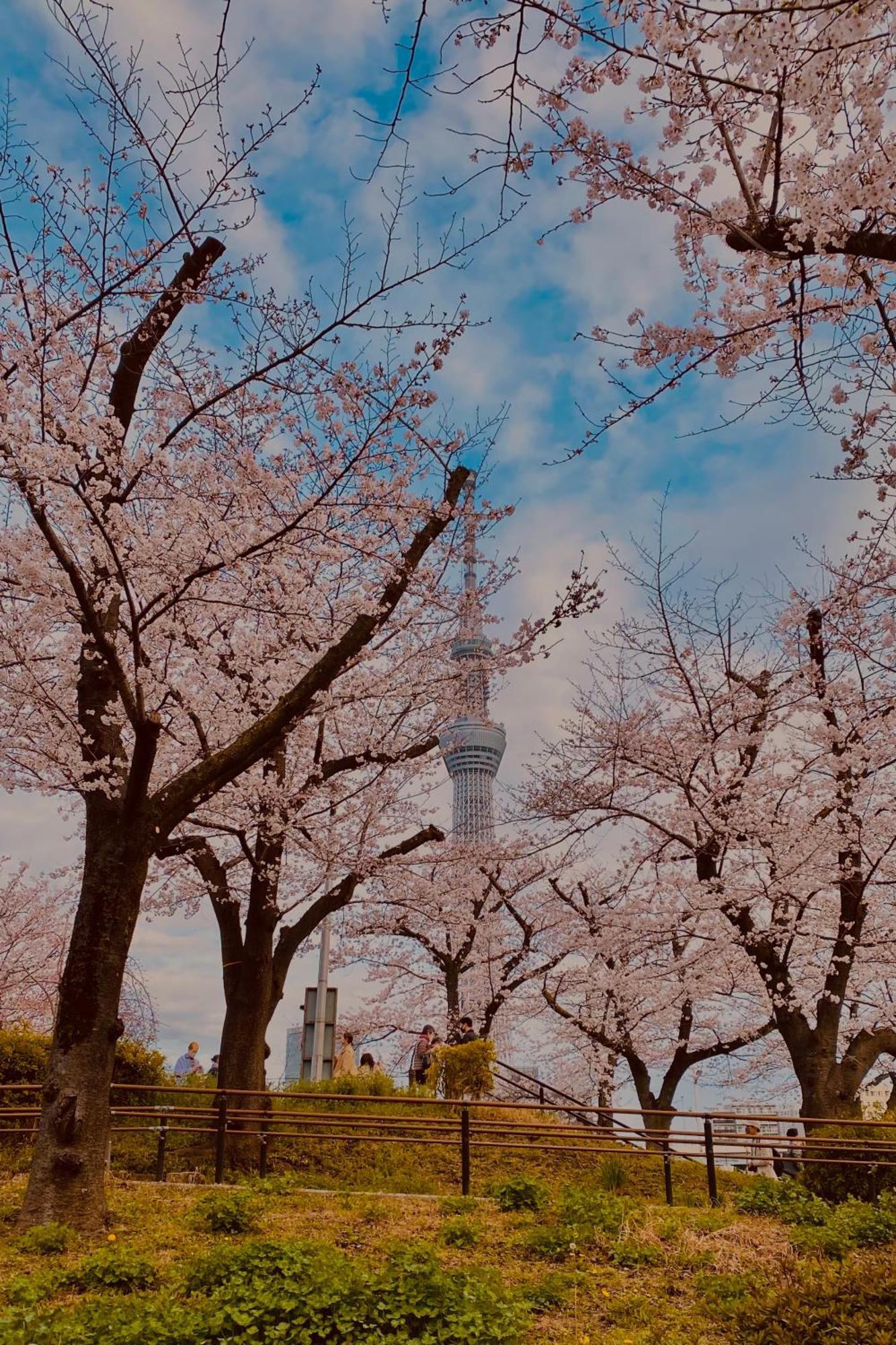 Toe Library Tokyo Asakusa Luaran gambar